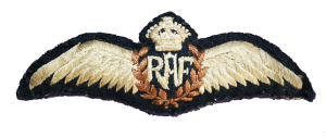 RAF Wings - Colour